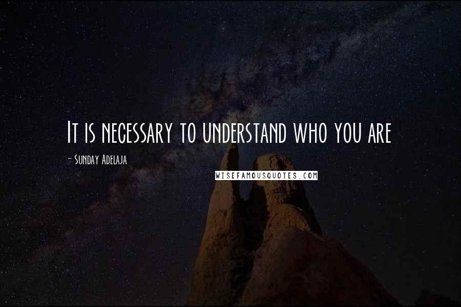 Sunday Adelaja Quotes: It is necessary to understand who you are