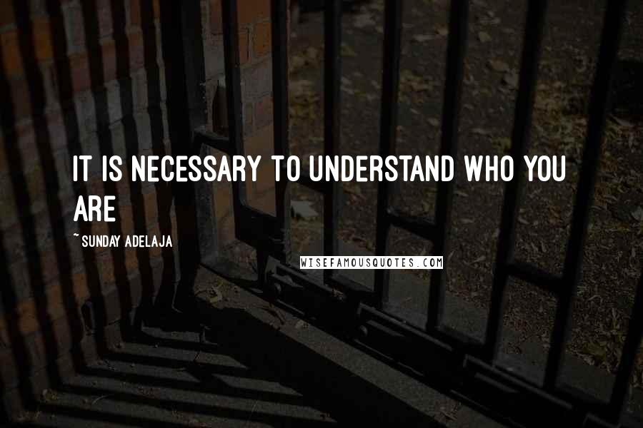 Sunday Adelaja Quotes: It is necessary to understand who you are