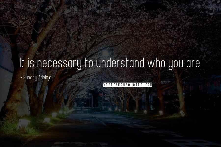 Sunday Adelaja Quotes: It is necessary to understand who you are