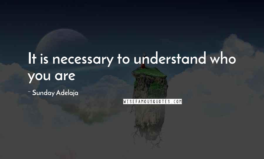 Sunday Adelaja Quotes: It is necessary to understand who you are