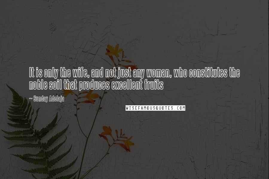 Sunday Adelaja Quotes: It is only the wife, and not just any woman, who constitutes the noble soil that produces excellent fruits