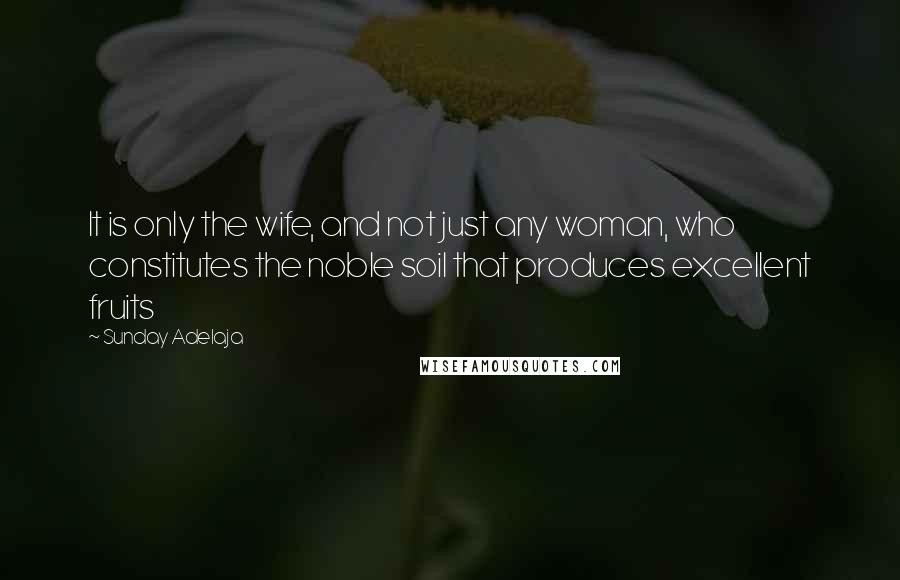 Sunday Adelaja Quotes: It is only the wife, and not just any woman, who constitutes the noble soil that produces excellent fruits