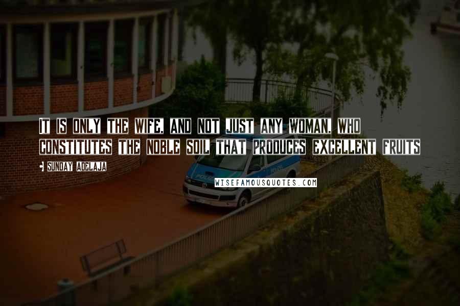 Sunday Adelaja Quotes: It is only the wife, and not just any woman, who constitutes the noble soil that produces excellent fruits