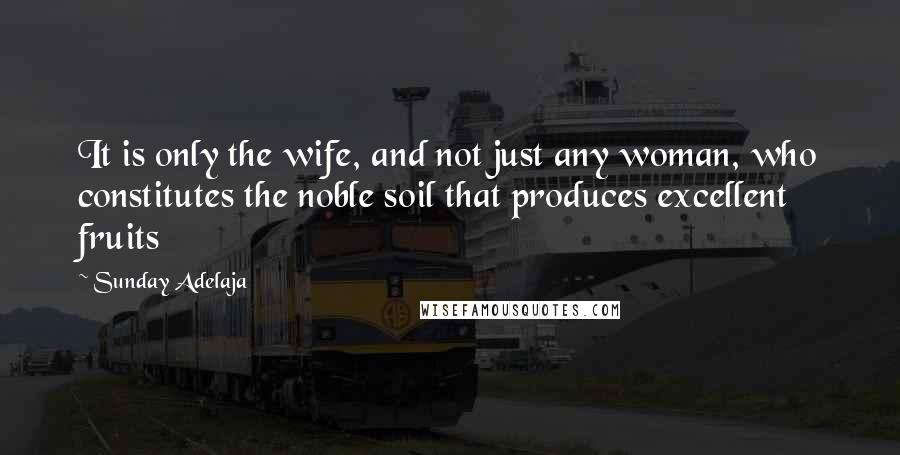 Sunday Adelaja Quotes: It is only the wife, and not just any woman, who constitutes the noble soil that produces excellent fruits