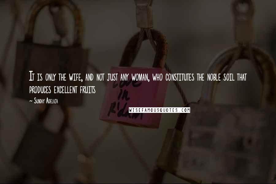 Sunday Adelaja Quotes: It is only the wife, and not just any woman, who constitutes the noble soil that produces excellent fruits