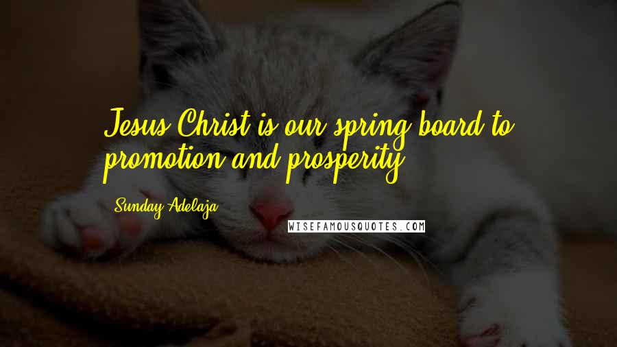 Sunday Adelaja Quotes: Jesus Christ is our spring board to promotion and prosperity.