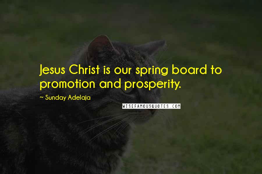 Sunday Adelaja Quotes: Jesus Christ is our spring board to promotion and prosperity.