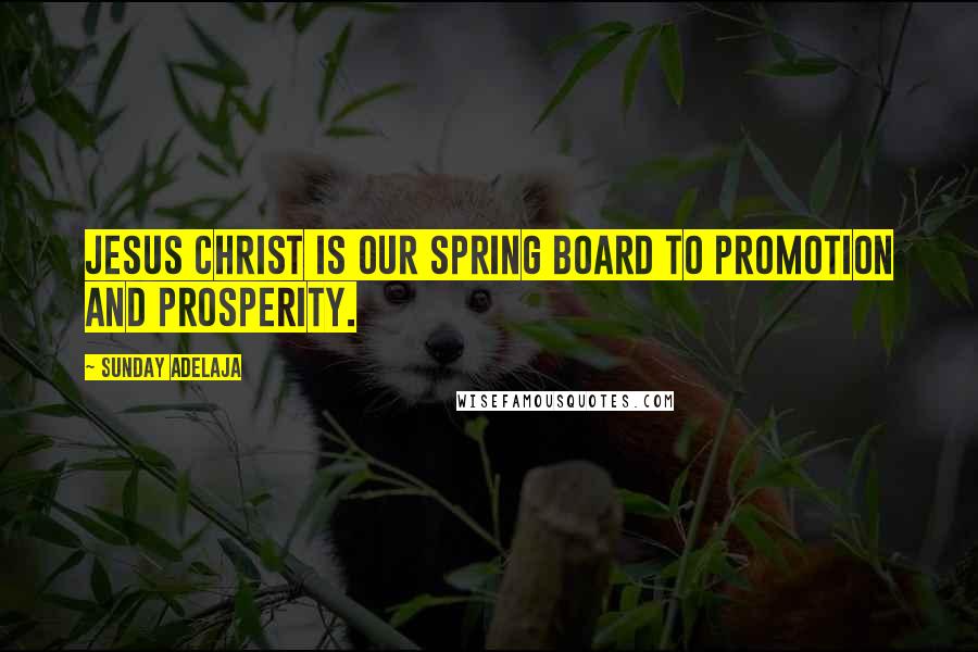 Sunday Adelaja Quotes: Jesus Christ is our spring board to promotion and prosperity.
