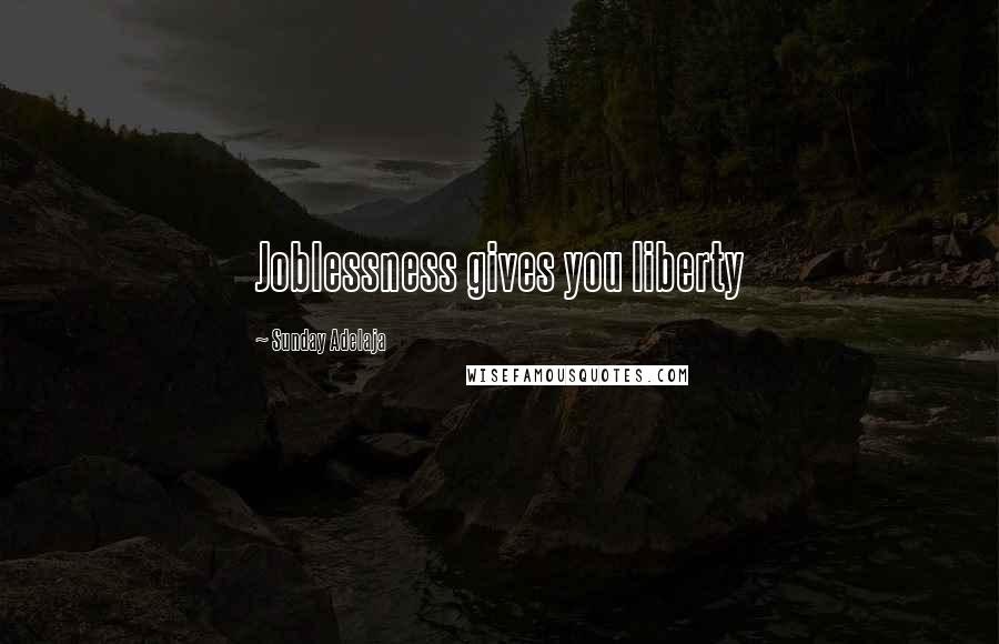 Sunday Adelaja Quotes: Joblessness gives you liberty