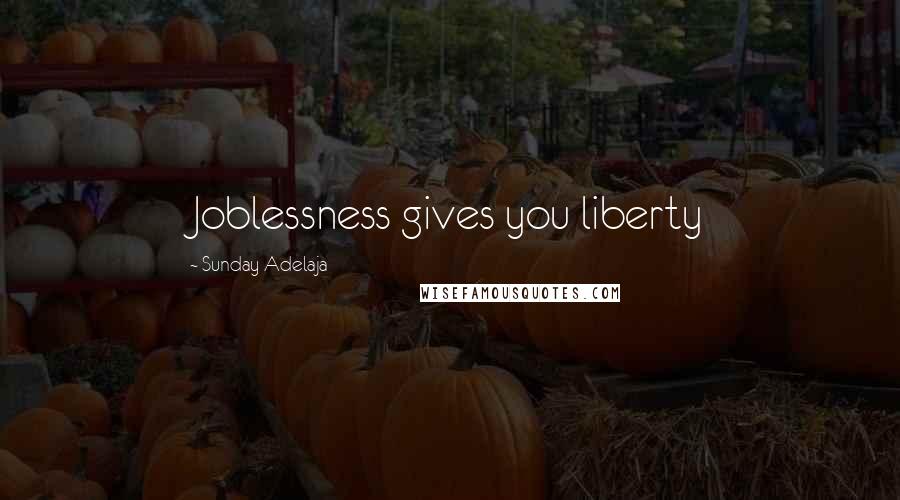 Sunday Adelaja Quotes: Joblessness gives you liberty