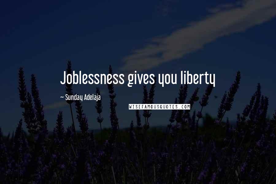 Sunday Adelaja Quotes: Joblessness gives you liberty