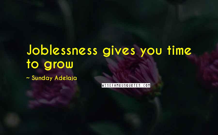 Sunday Adelaja Quotes: Joblessness gives you time to grow