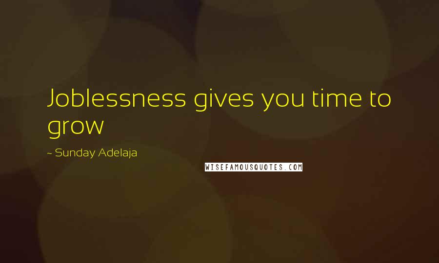 Sunday Adelaja Quotes: Joblessness gives you time to grow