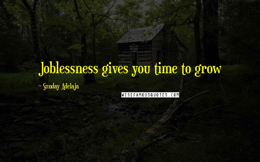 Sunday Adelaja Quotes: Joblessness gives you time to grow