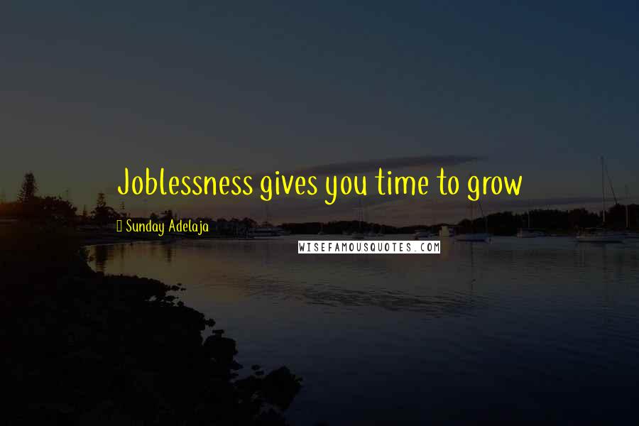 Sunday Adelaja Quotes: Joblessness gives you time to grow