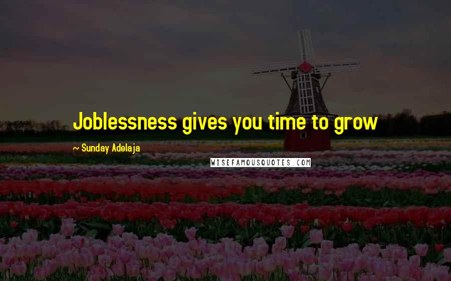 Sunday Adelaja Quotes: Joblessness gives you time to grow