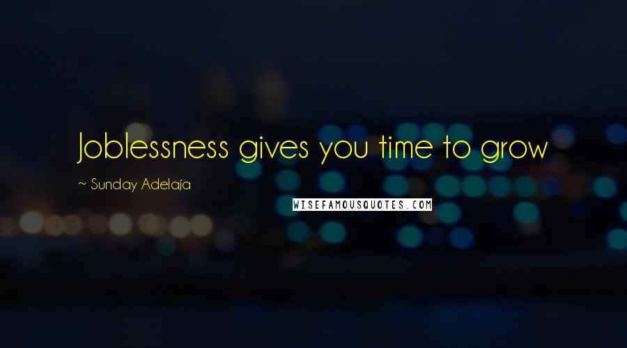 Sunday Adelaja Quotes: Joblessness gives you time to grow