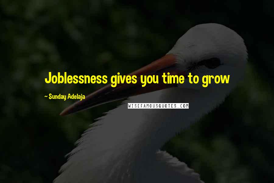 Sunday Adelaja Quotes: Joblessness gives you time to grow