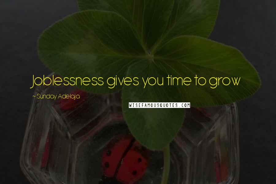 Sunday Adelaja Quotes: Joblessness gives you time to grow