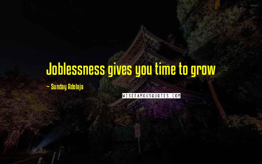 Sunday Adelaja Quotes: Joblessness gives you time to grow