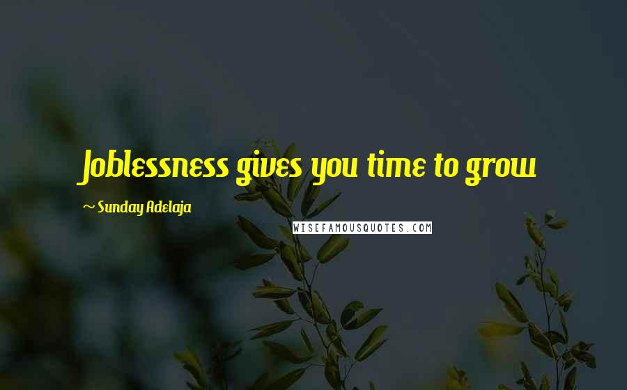 Sunday Adelaja Quotes: Joblessness gives you time to grow