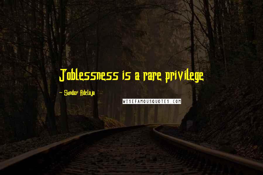 Sunday Adelaja Quotes: Joblessness is a rare privilege