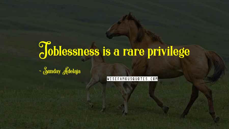 Sunday Adelaja Quotes: Joblessness is a rare privilege
