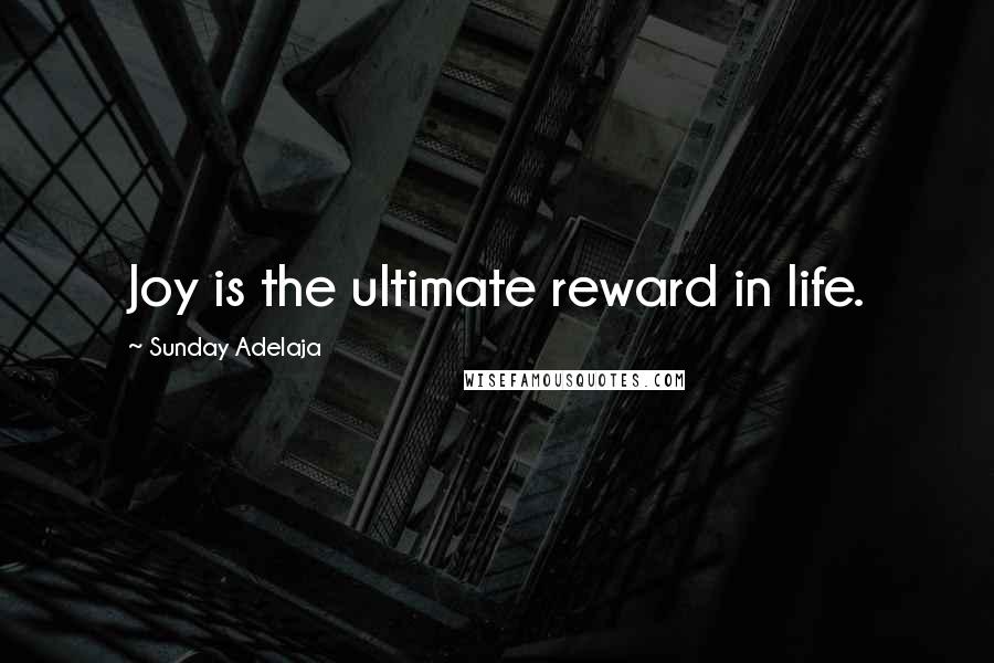 Sunday Adelaja Quotes: Joy is the ultimate reward in life.