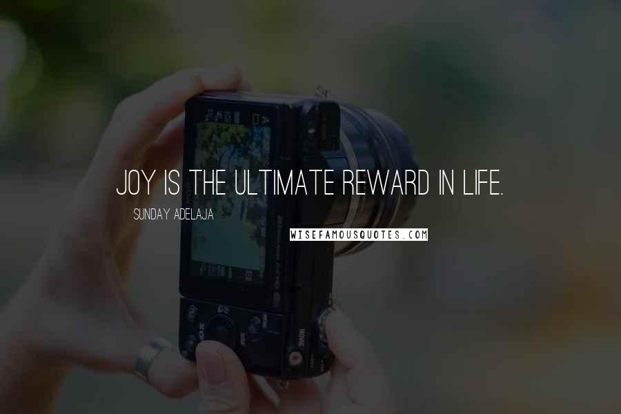 Sunday Adelaja Quotes: Joy is the ultimate reward in life.