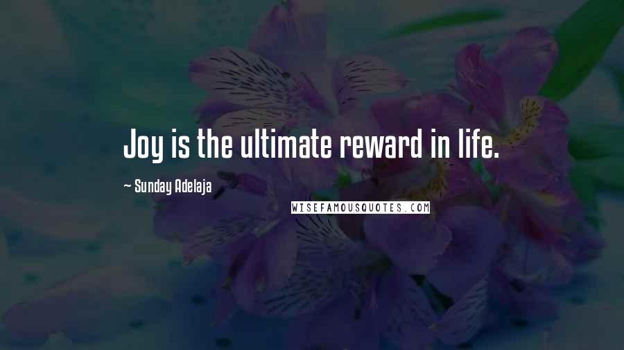 Sunday Adelaja Quotes: Joy is the ultimate reward in life.