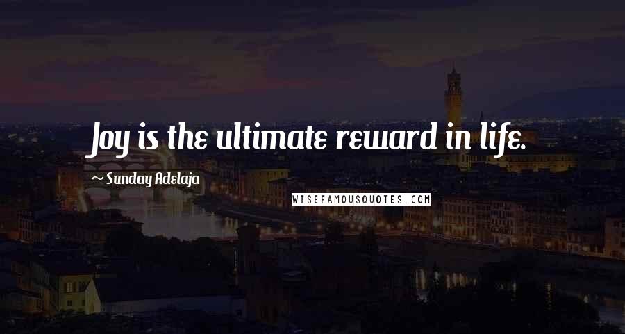 Sunday Adelaja Quotes: Joy is the ultimate reward in life.