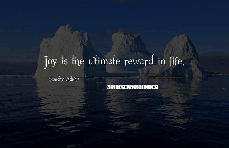 Sunday Adelaja Quotes: Joy is the ultimate reward in life.