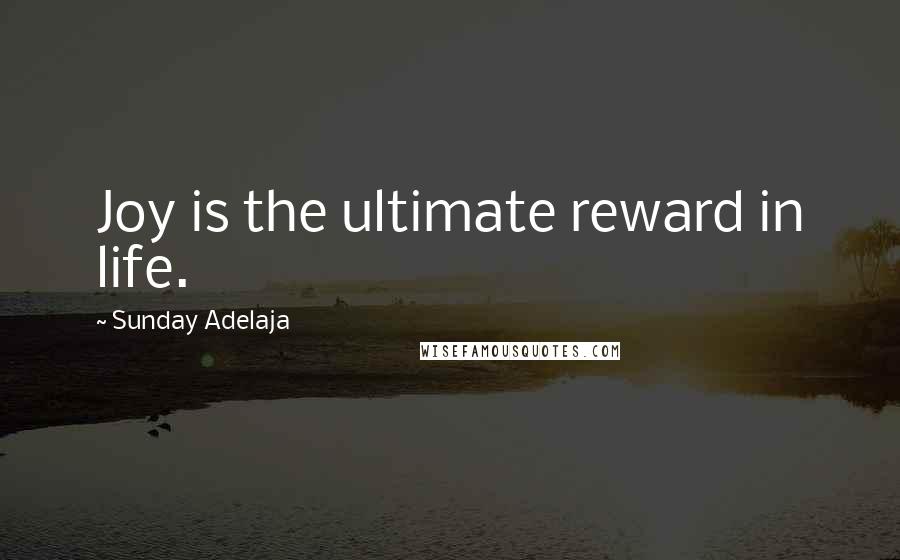 Sunday Adelaja Quotes: Joy is the ultimate reward in life.