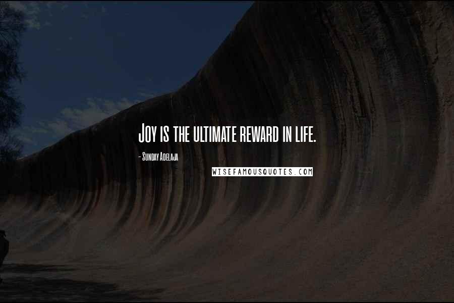 Sunday Adelaja Quotes: Joy is the ultimate reward in life.