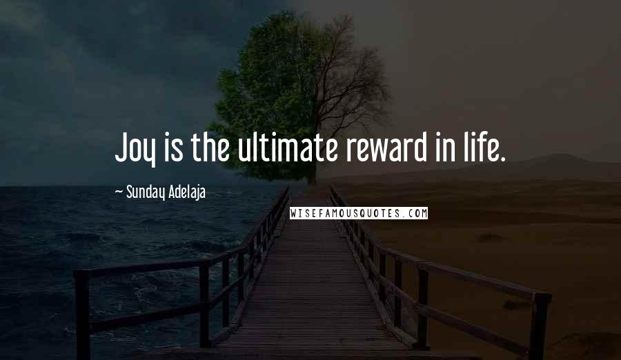 Sunday Adelaja Quotes: Joy is the ultimate reward in life.