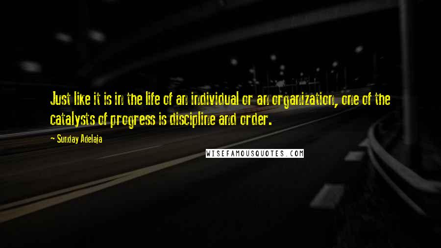 Sunday Adelaja Quotes: Just like it is in the life of an individual or an organization, one of the catalysts of progress is discipline and order.