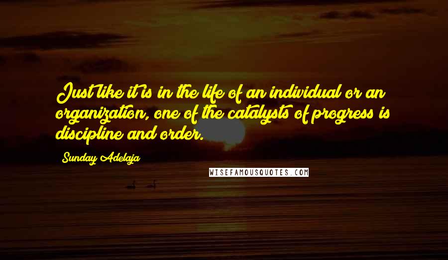 Sunday Adelaja Quotes: Just like it is in the life of an individual or an organization, one of the catalysts of progress is discipline and order.