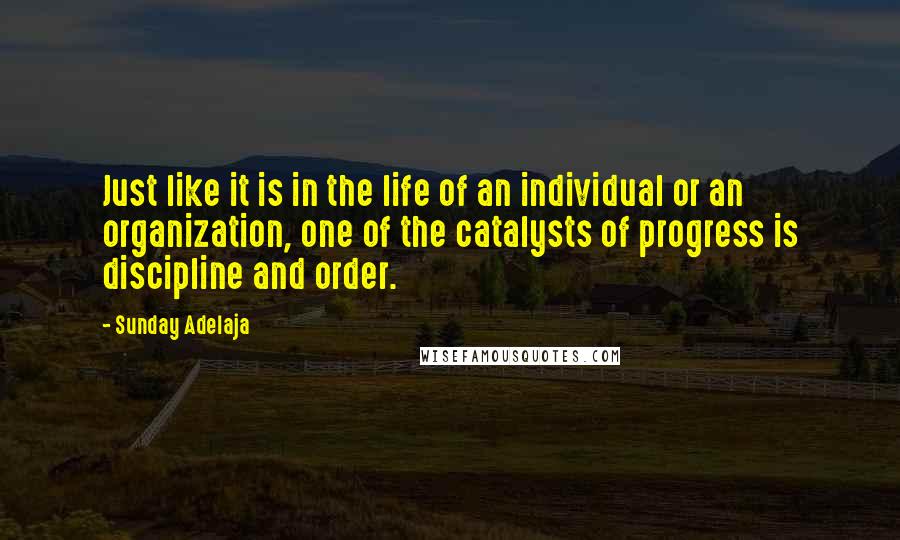 Sunday Adelaja Quotes: Just like it is in the life of an individual or an organization, one of the catalysts of progress is discipline and order.