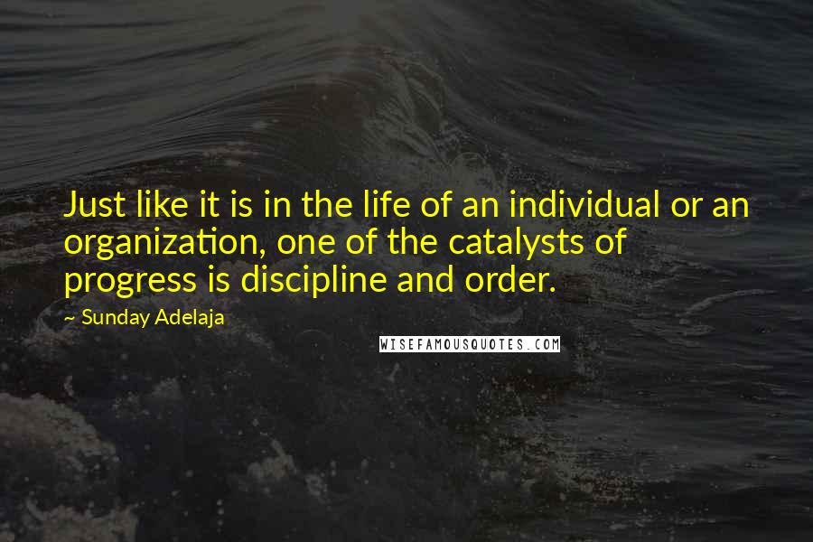 Sunday Adelaja Quotes: Just like it is in the life of an individual or an organization, one of the catalysts of progress is discipline and order.