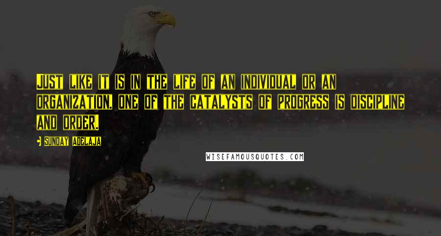 Sunday Adelaja Quotes: Just like it is in the life of an individual or an organization, one of the catalysts of progress is discipline and order.