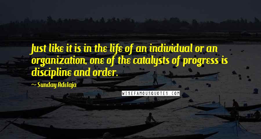 Sunday Adelaja Quotes: Just like it is in the life of an individual or an organization, one of the catalysts of progress is discipline and order.