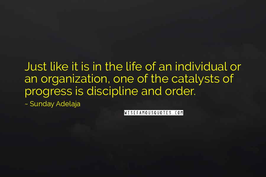 Sunday Adelaja Quotes: Just like it is in the life of an individual or an organization, one of the catalysts of progress is discipline and order.