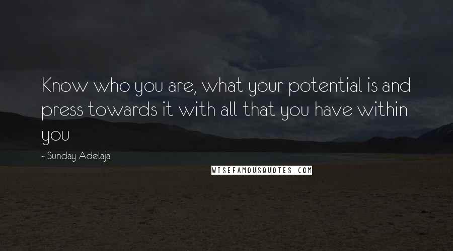 Sunday Adelaja Quotes: Know who you are, what your potential is and press towards it with all that you have within you