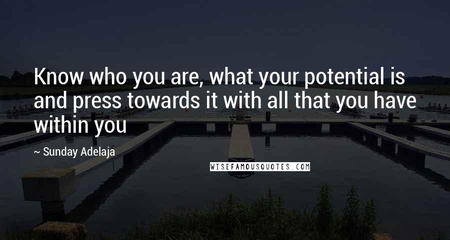 Sunday Adelaja Quotes: Know who you are, what your potential is and press towards it with all that you have within you