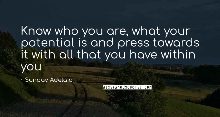 Sunday Adelaja Quotes: Know who you are, what your potential is and press towards it with all that you have within you