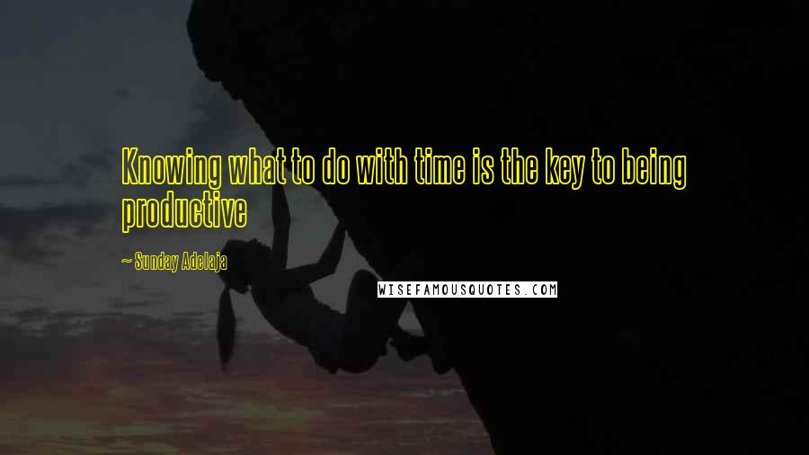 Sunday Adelaja Quotes: Knowing what to do with time is the key to being productive