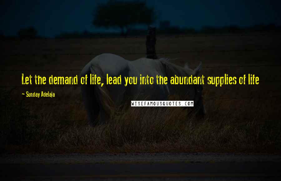 Sunday Adelaja Quotes: Let the demand of life, lead you into the abundant supplies of life