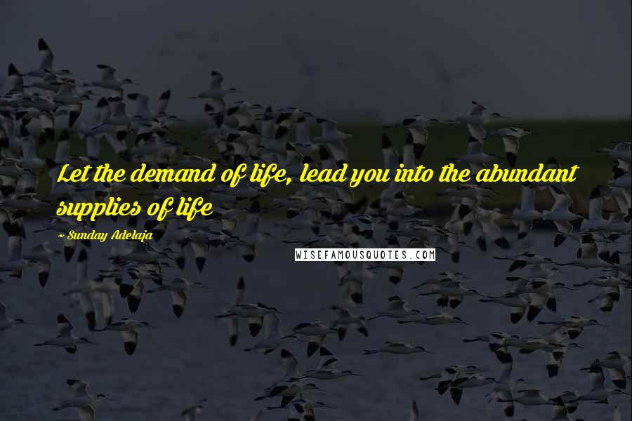 Sunday Adelaja Quotes: Let the demand of life, lead you into the abundant supplies of life