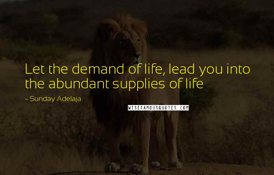 Sunday Adelaja Quotes: Let the demand of life, lead you into the abundant supplies of life