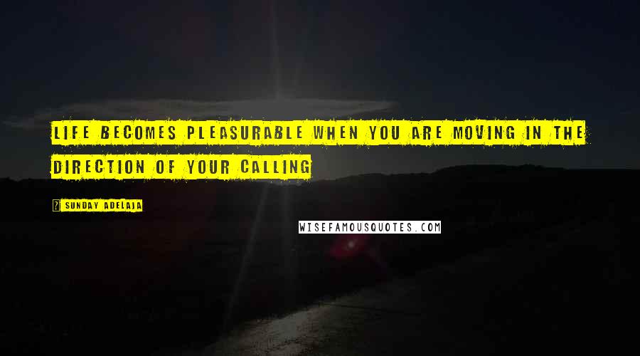 Sunday Adelaja Quotes: Life becomes pleasurable when you are moving in the direction of your calling